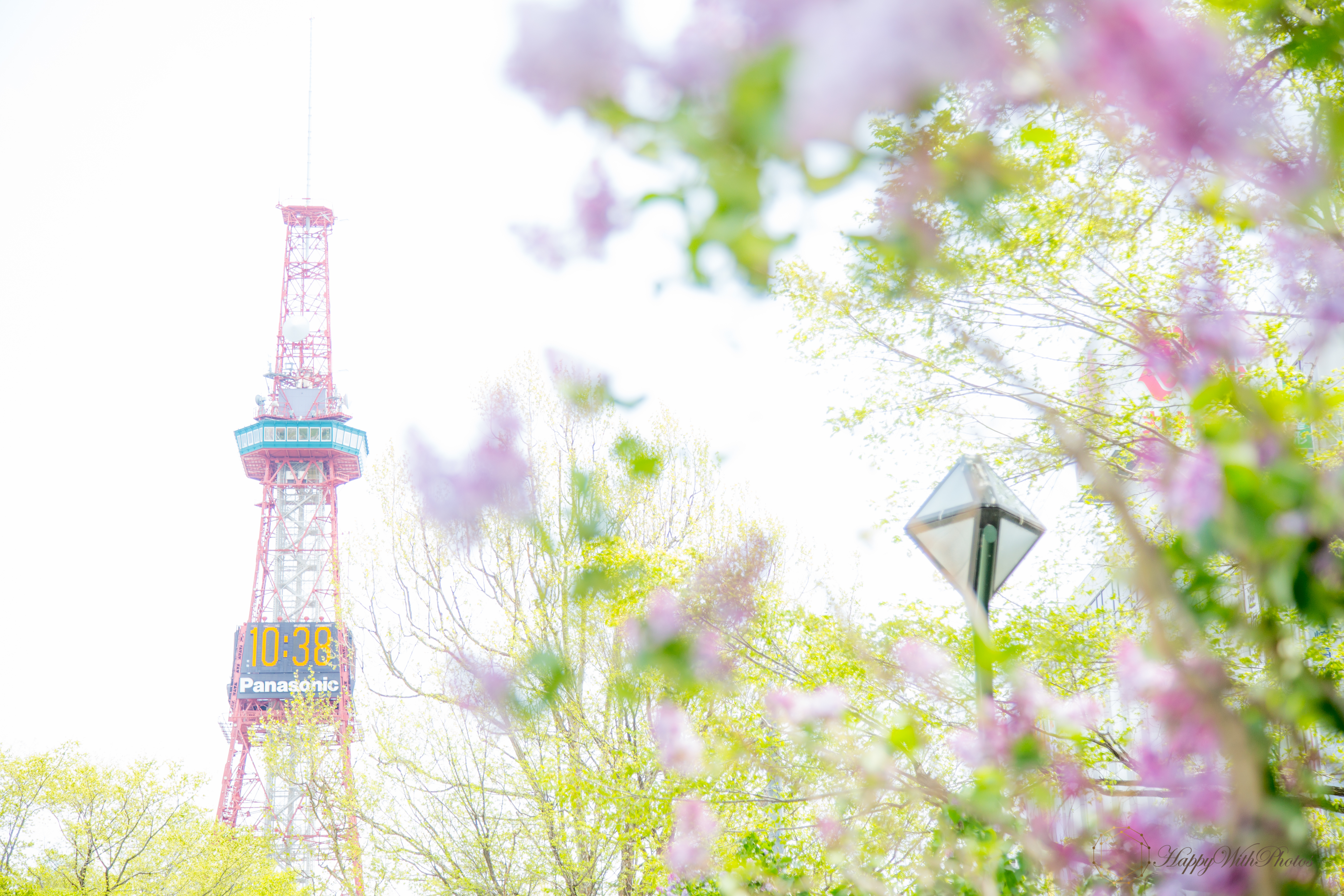 ライラックってどんな花 花言葉は 札幌のオススメ撮影スポット3選 札幌の家族写真 プロフィール写真の出張カメラマン 中谷千尋